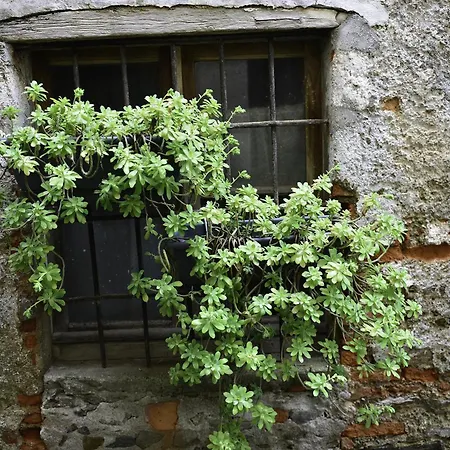 Apartment A Casa Di Sole Brovello-Carpugnino
